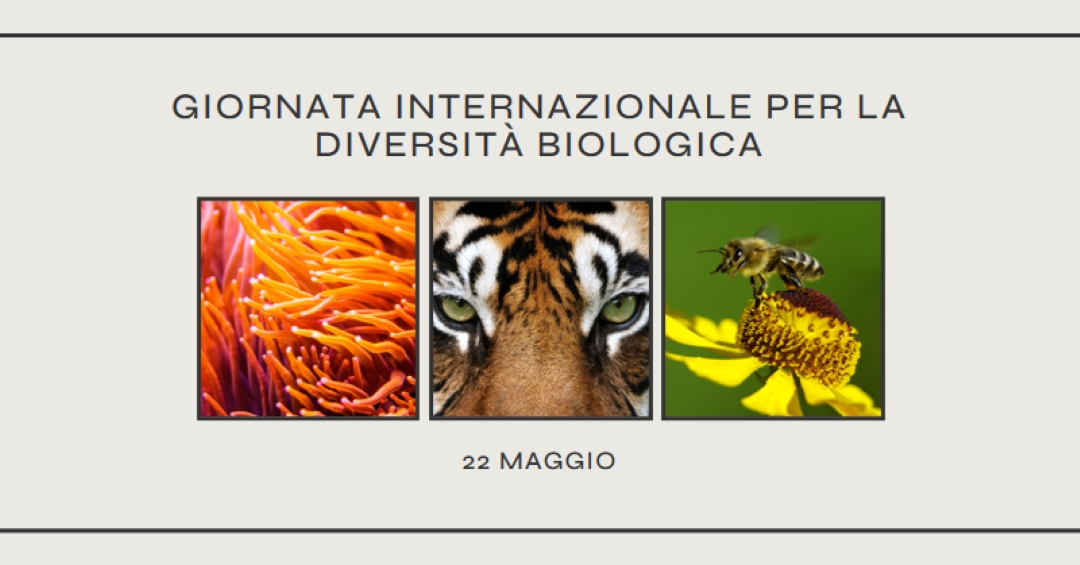 Una natura che si sta rigenerando gray modern-simple