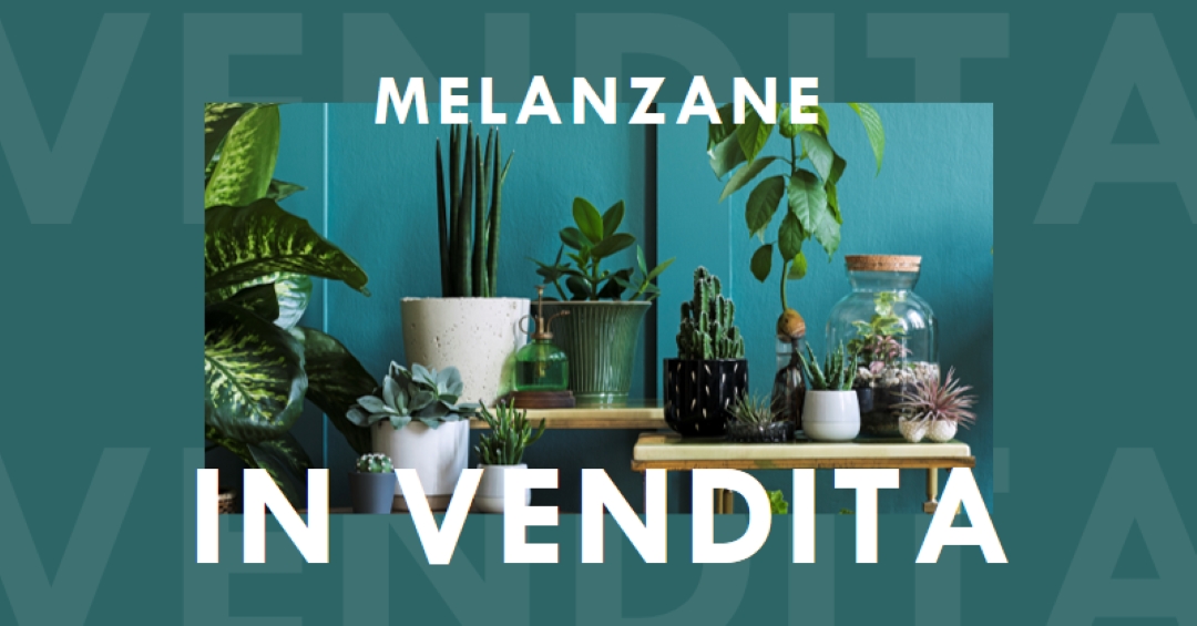 Centrale elettrica green modern-bold