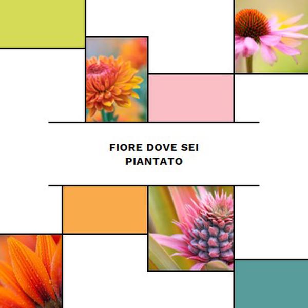 Bloom dove sei piantato white modern-geo-&-linear