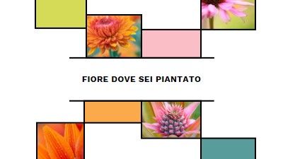 Bloom dove sei piantato white modern-geo-&-linear