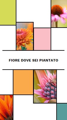 Bloom dove sei piantato white modern-geo-&-linear