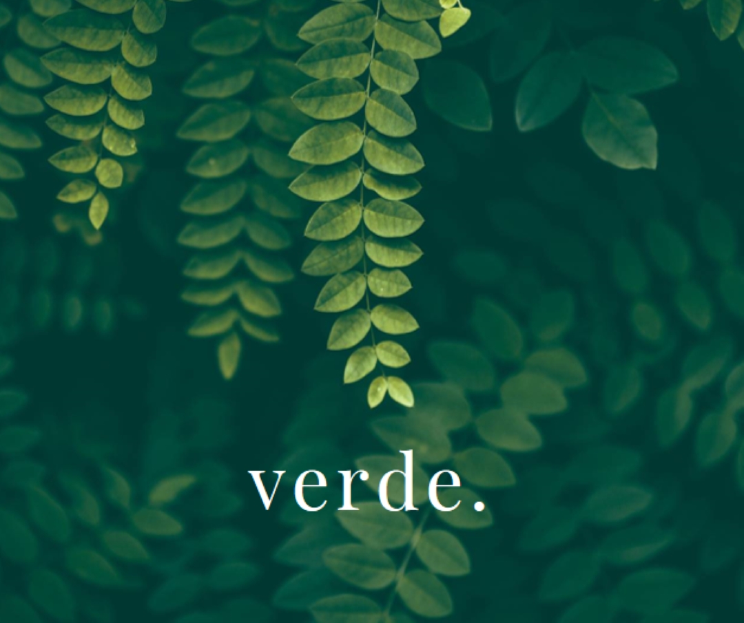 Nella merce green modern-simple