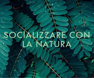 Socializzare con la natura green modern-simple