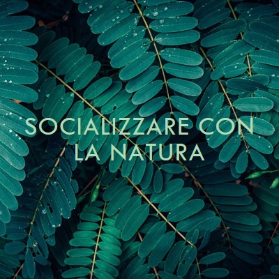 Socializzare con la natura green modern-simple