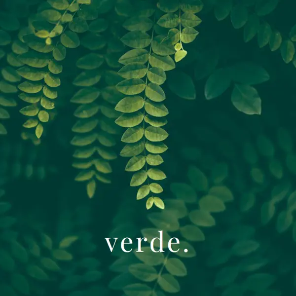 Nella merce green modern-simple