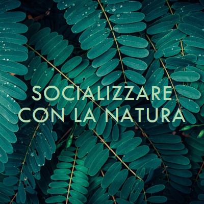 Socializzare con la natura green modern-simple