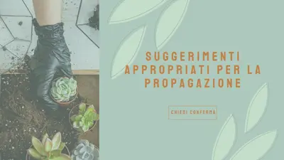 Semplicemente succulento green organic-simple