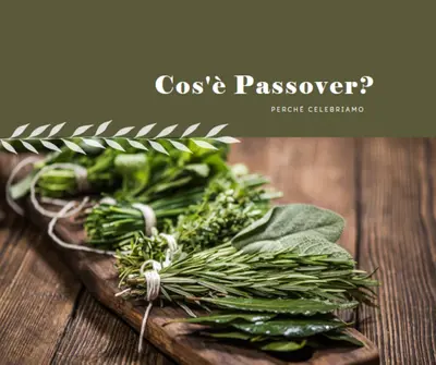 Felice Festa di Passover green modern-simple
