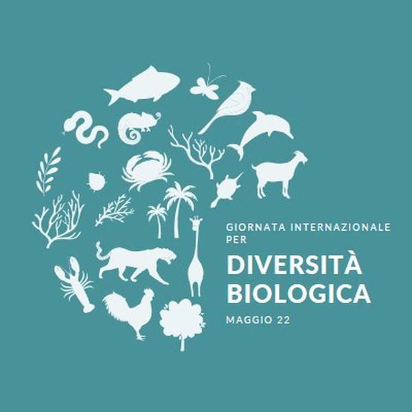 Festeggia la Giornata Mondiale della Biodiversità blue modern-simple