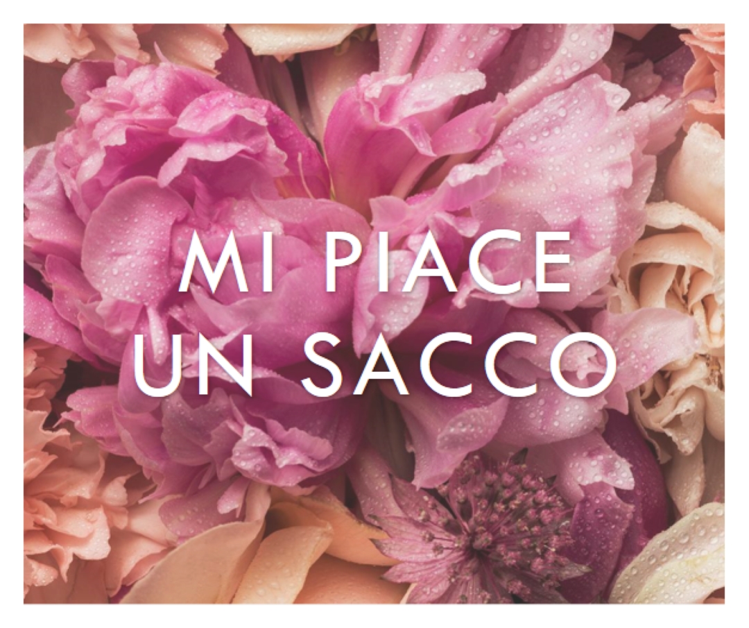 Sensazioni floreali pink modern-simple