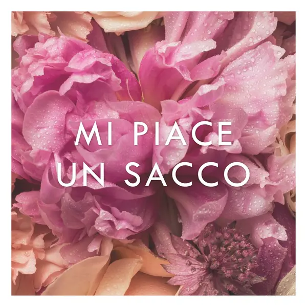 Sensazioni floreali pink modern-simple