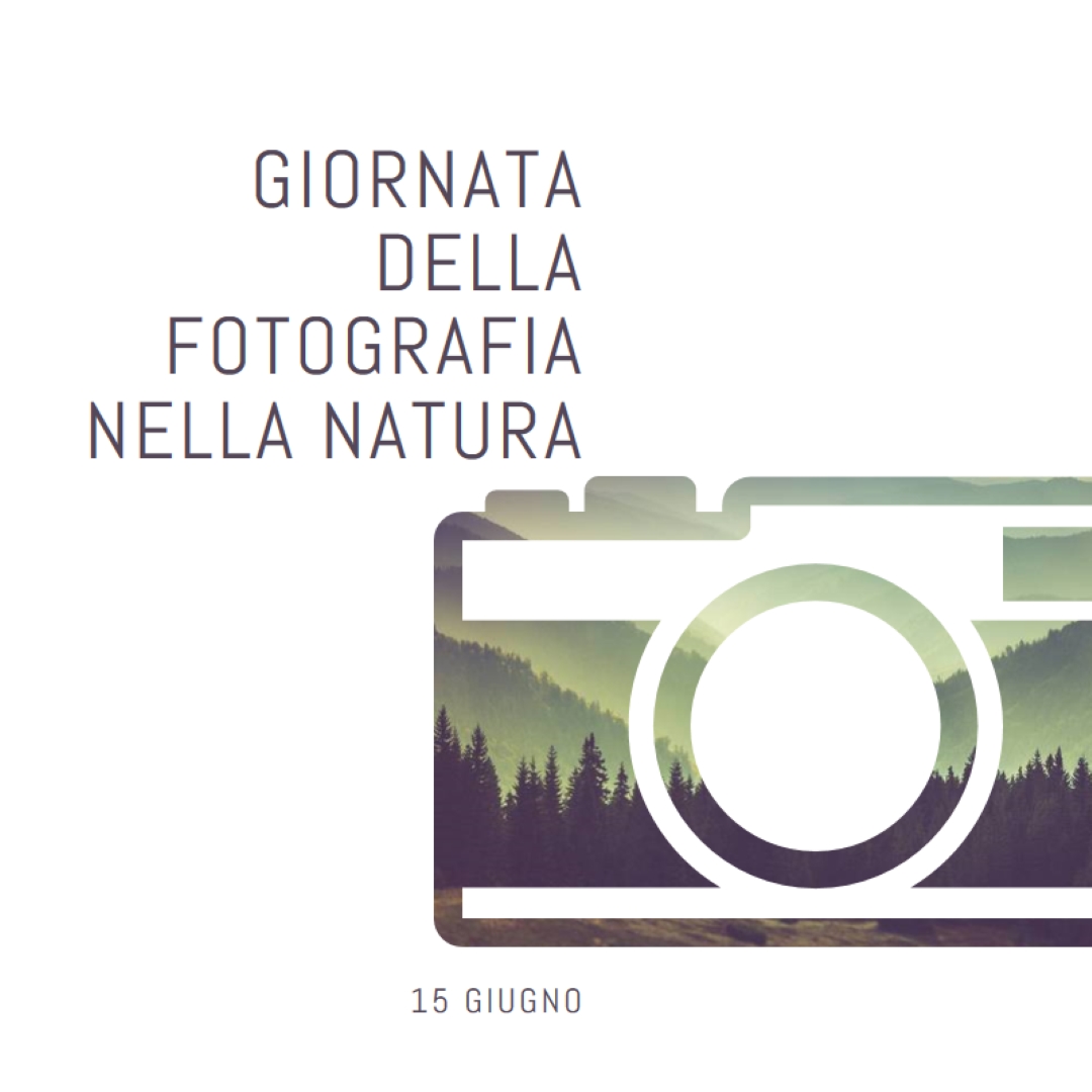 Giornata della fotografia nella natura white modern-simple
