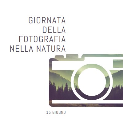 Giornata della fotografia nella natura white modern-simple