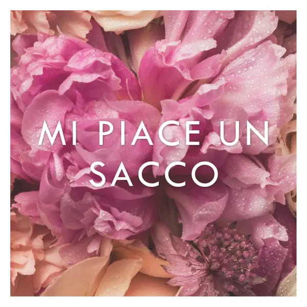 Sensazioni floreali pink modern-simple