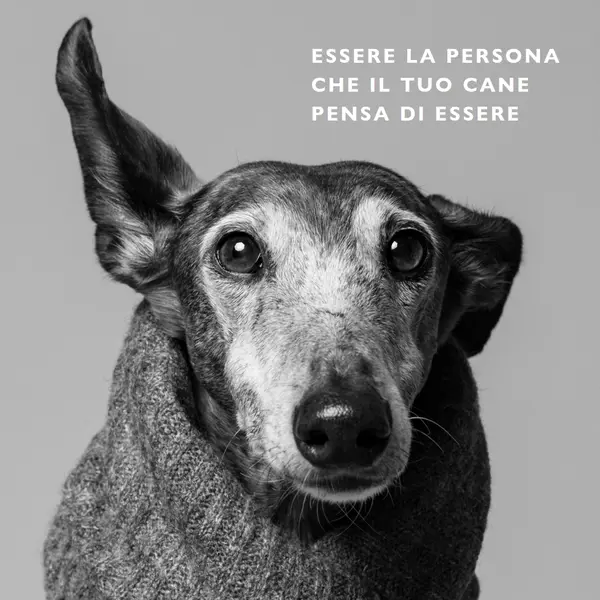 Cotta adolescenziale gray modern-simple