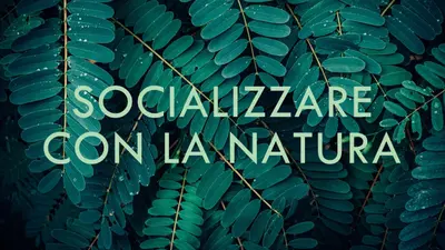 Socializzare con la natura green modern-simple