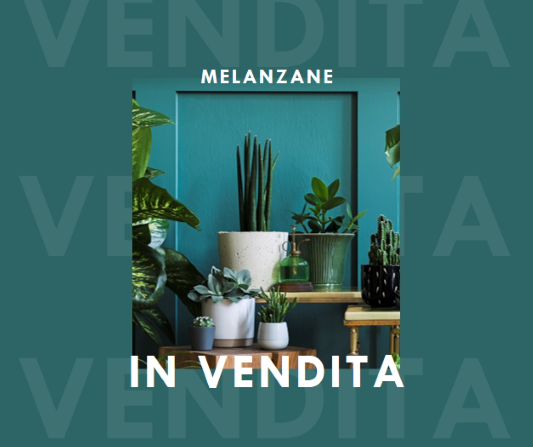 Centrale elettrica green modern-bold