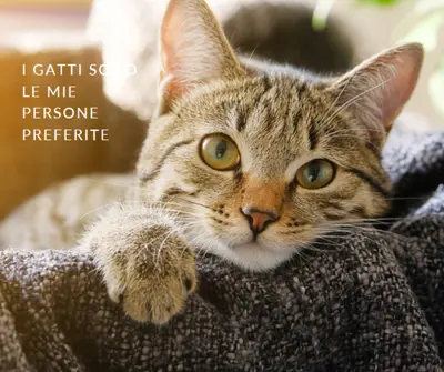 Gatto fantastico brown modern-simple