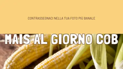 La squadra di cob yellow modern-simple