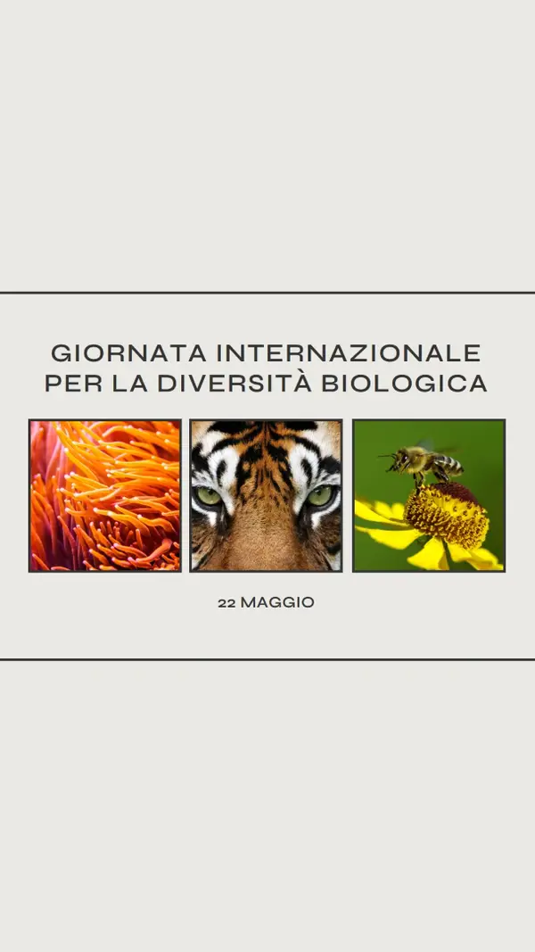 Una natura che si sta rigenerando gray modern-simple