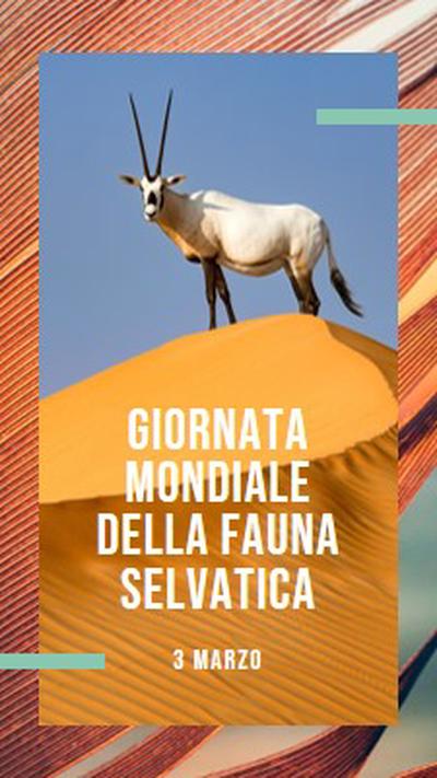 Celebrare la fauna selvatica orange modern-bold