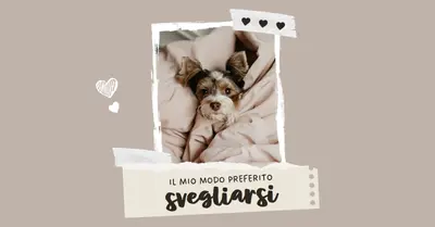 Il mio modo preferito per svegliarmi brown modern,scrapbook,paper,collage,brushstroke,handwriting,