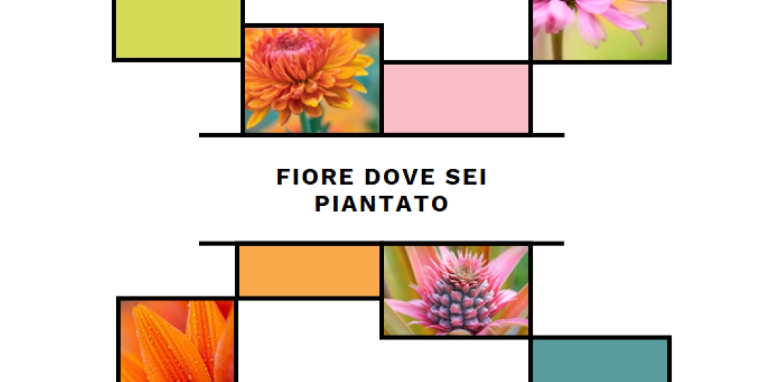 Bloom dove sei piantato white modern-geo-&-linear