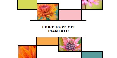 Bloom dove sei piantato white modern-geo-&-linear