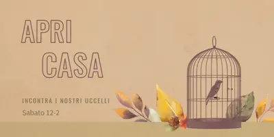 Osservazione di uccelli brown vintage-botanical