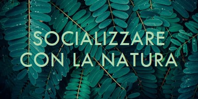 Socializzare con la natura green modern-simple