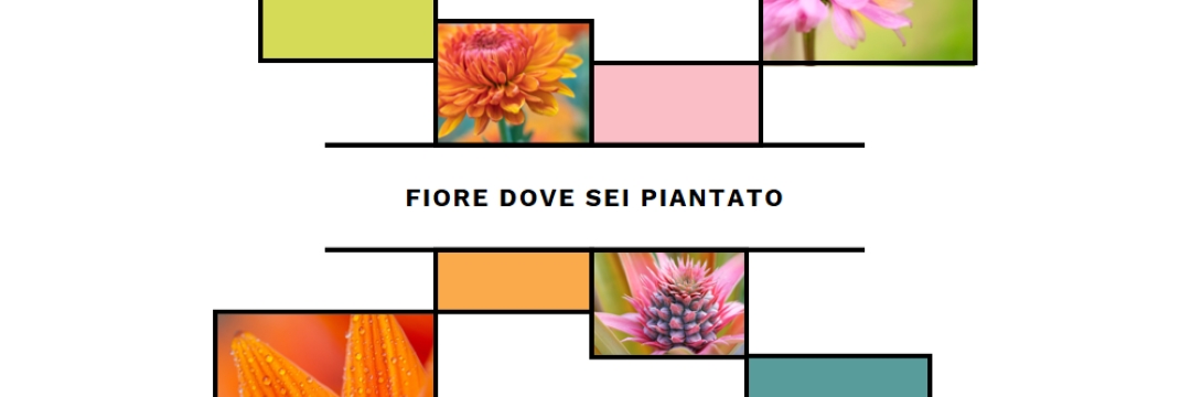 Bloom dove sei piantato white modern-geo-&-linear