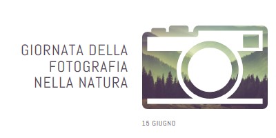 Giornata della fotografia nella natura white modern-simple