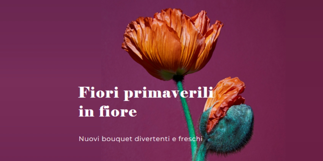 Fiori freschi purple modern-simple