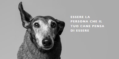 Cotta adolescenziale gray modern-simple