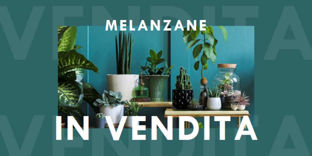 Centrale elettrica green modern-bold