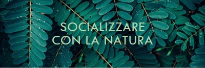 Socializzare con la natura green modern-simple