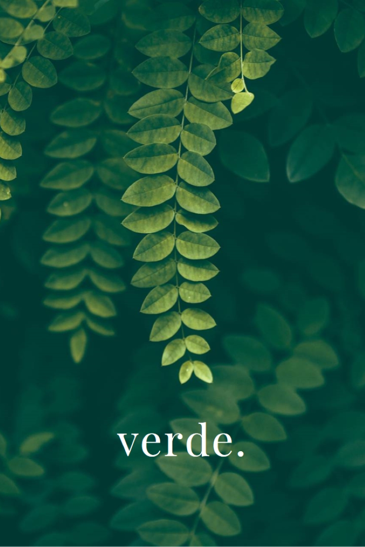 Nella merce green modern-simple