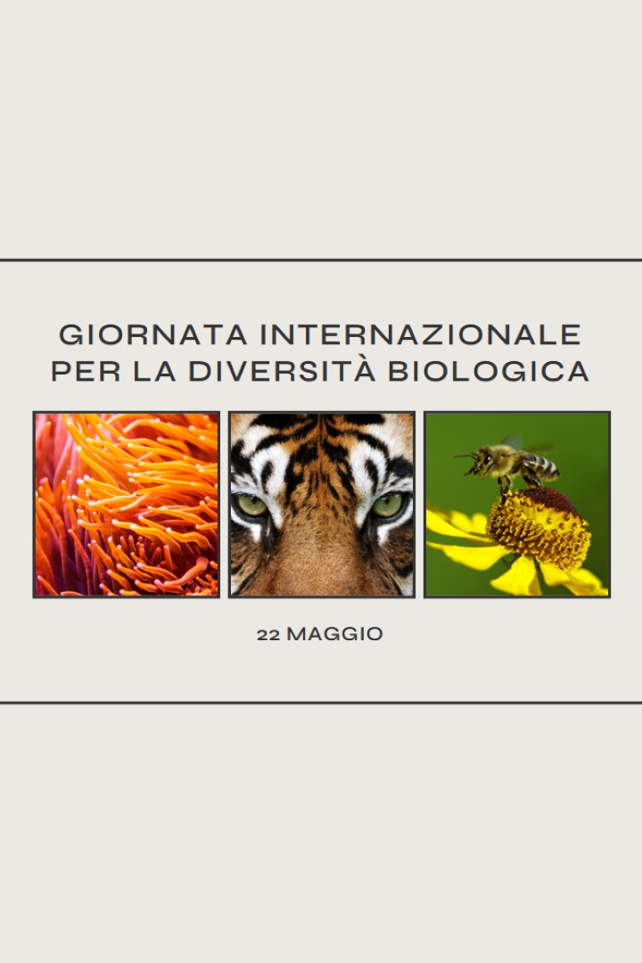 Una natura che si sta rigenerando gray modern-simple