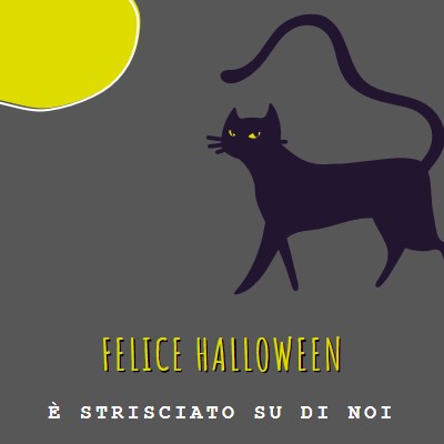 Gatto da brivido black whimsical-color-block