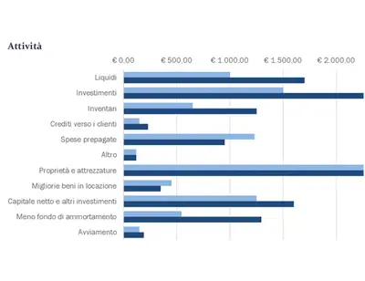 Stato patrimoniale blu
