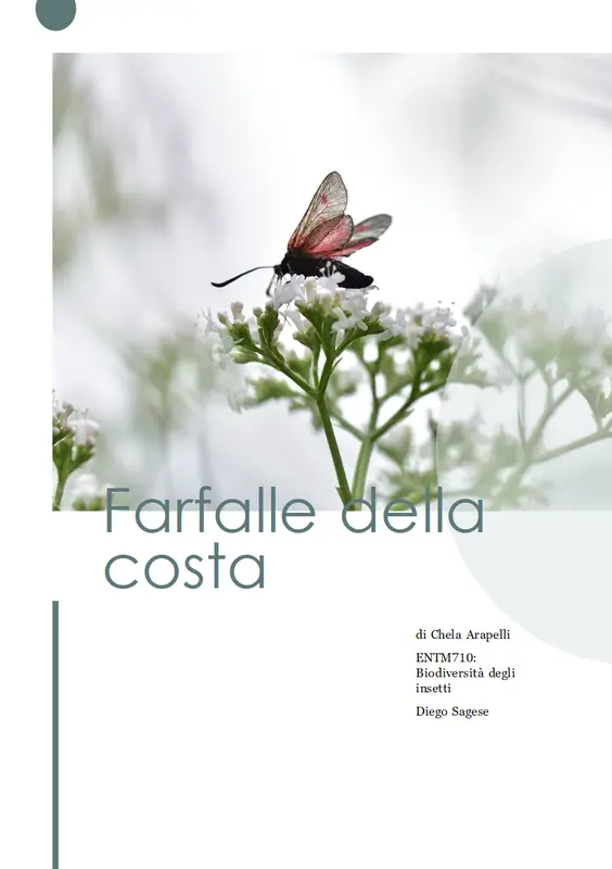 Report dello studente modern simple