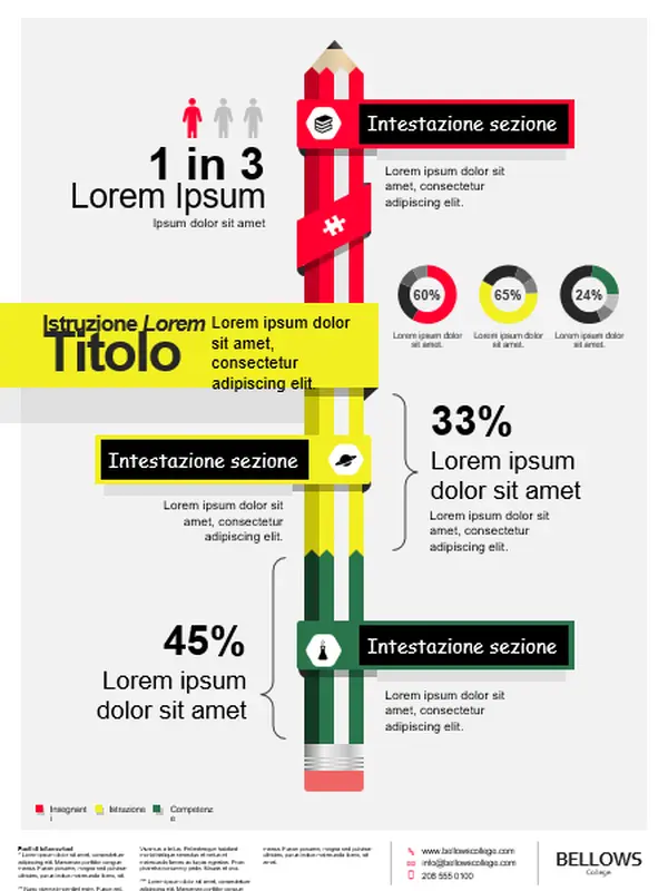 Poster con infografica sull'istruzione modern-bold