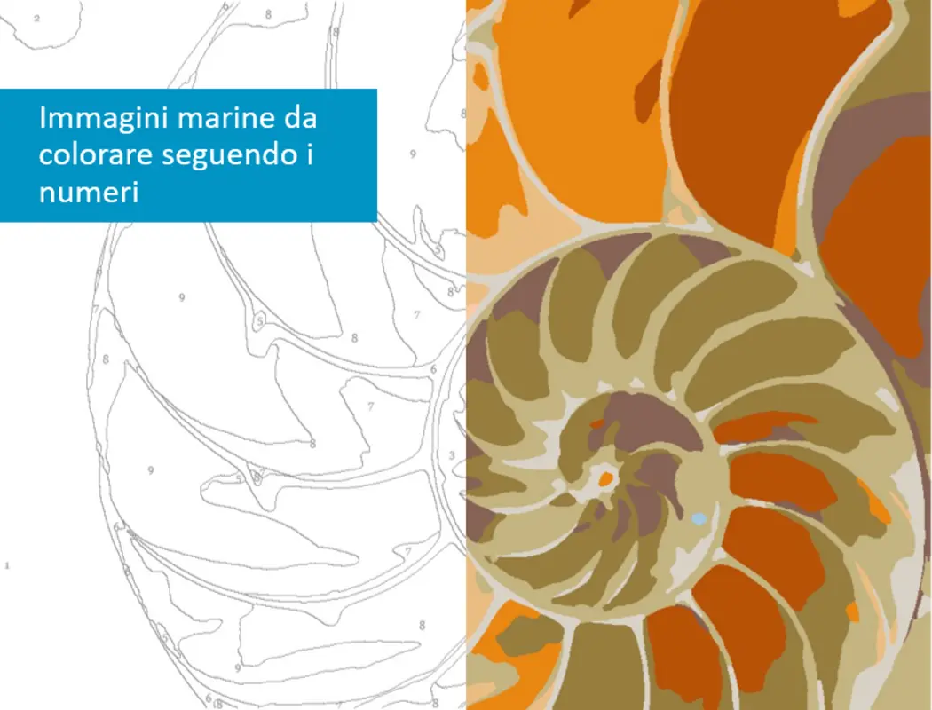 Immagini marine da colorare seguendo i numeri organic simple