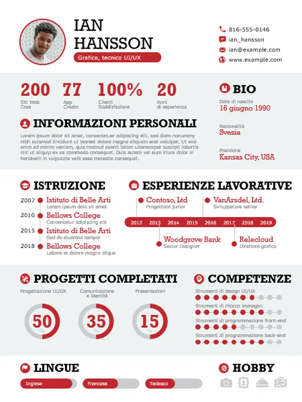 Infografica dettagliata del curriculum modern simple