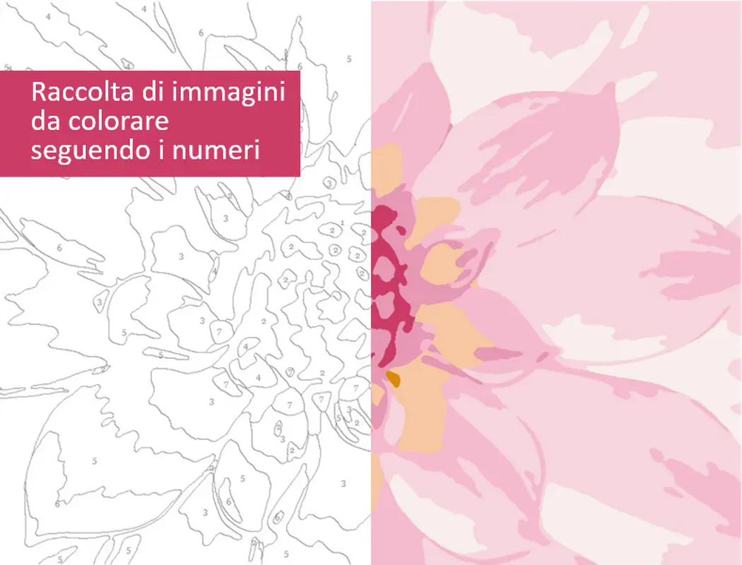 Raccolta di immagini da colorare seguendo i numeri modern simple