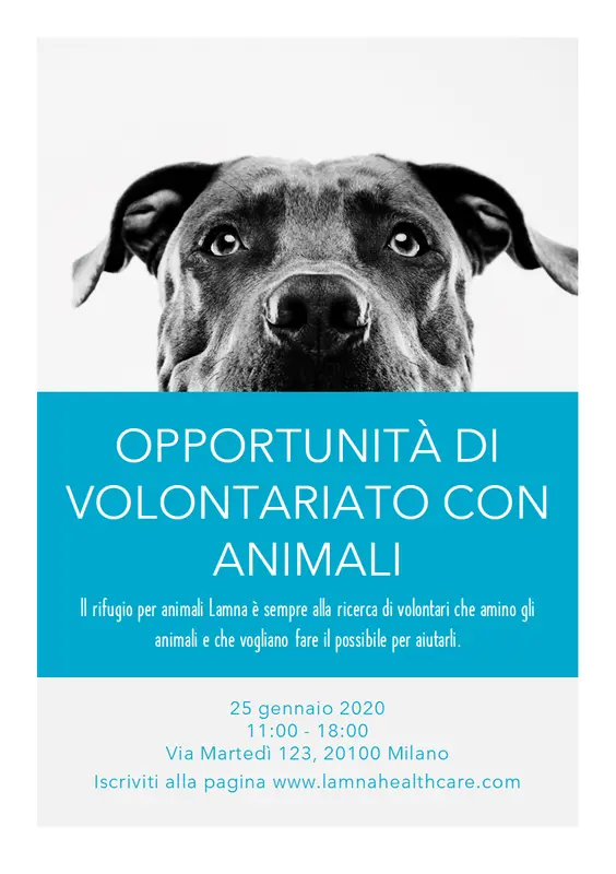 Volantino per opportunità di volontariato con gli animali modern-simple