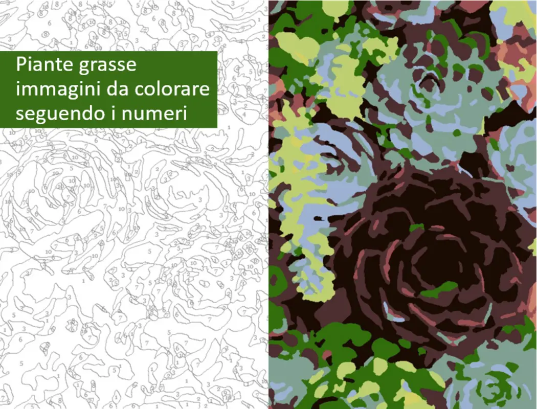Immagini di piante grasse da colorare seguendo i numeri organic simple