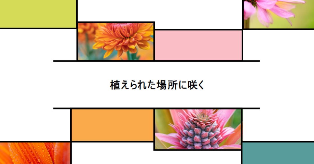 植えた場所に咲く white modern-geo-&-linear