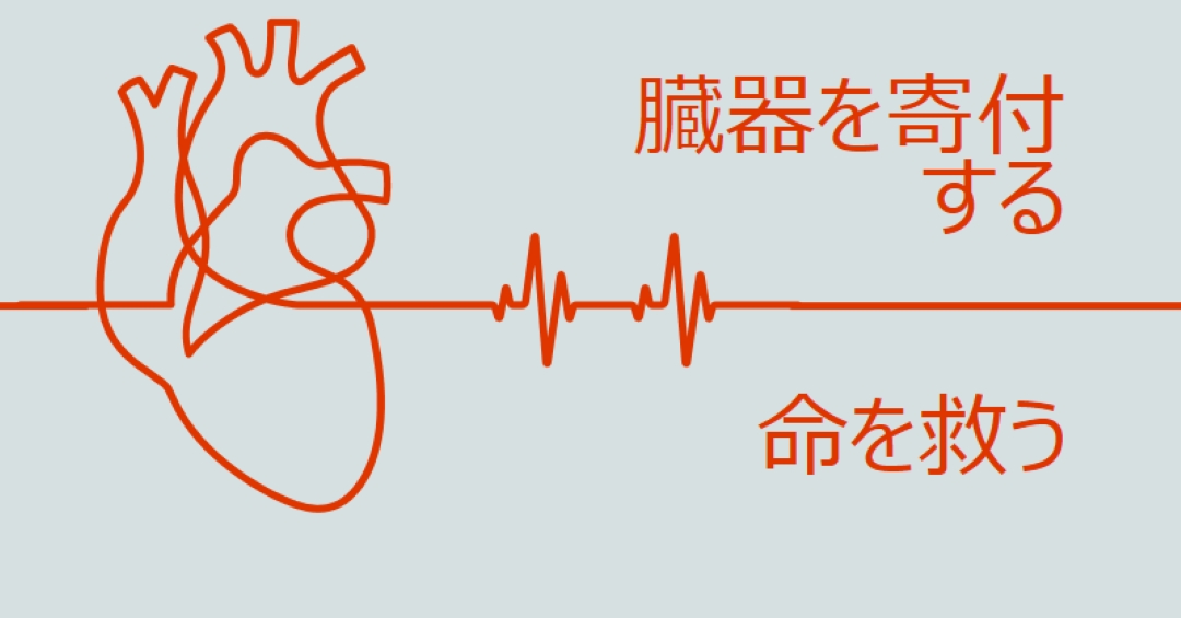 臓器提供者になる blue whimsical-line
