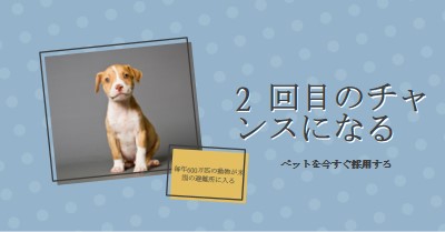 2 回目のチャンスの子犬 blue modern-bold